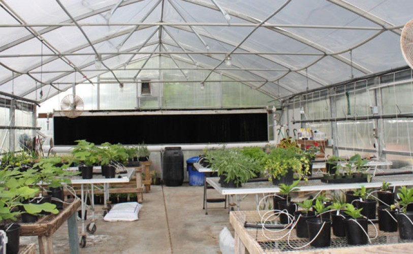 Greenhouse Supplies & Equipment